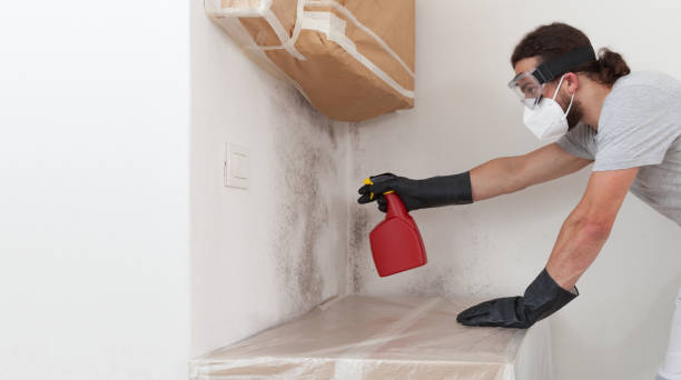 Professional Attic Mold Remediation technician working in Pine Brook, NJ
