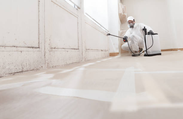 24/7 Emergency Attic Mold Remediation experts in Pine Brook, NJ