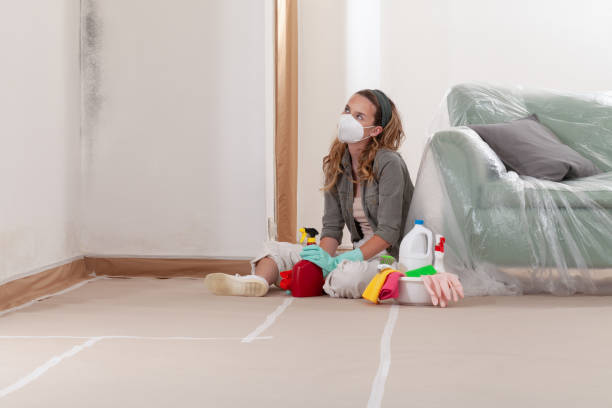 Reliable Attic Mold Remediation contractor in Pine Brook, NJ by Mold Remediation HQ